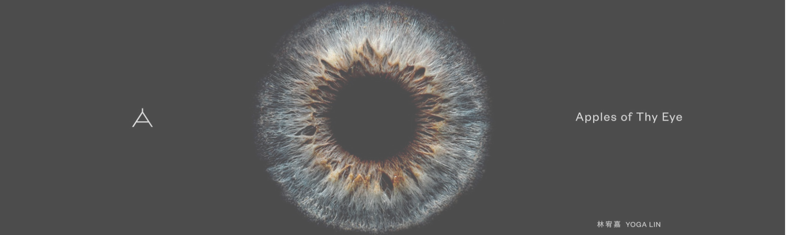 林宥嘉【Apples of Thy Eye】液态胶延期公告